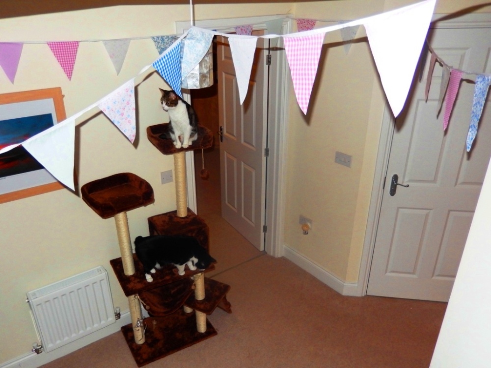 pastel bunting and cats hosting traditional afternoon tea party at home